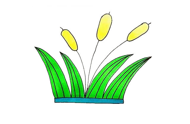 芦苇简笔画教程