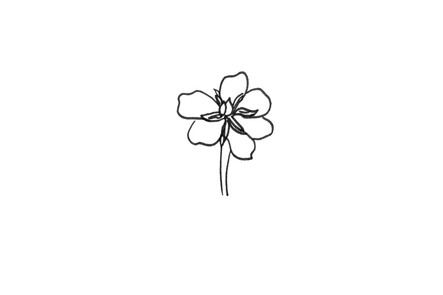 栀子花怎么画