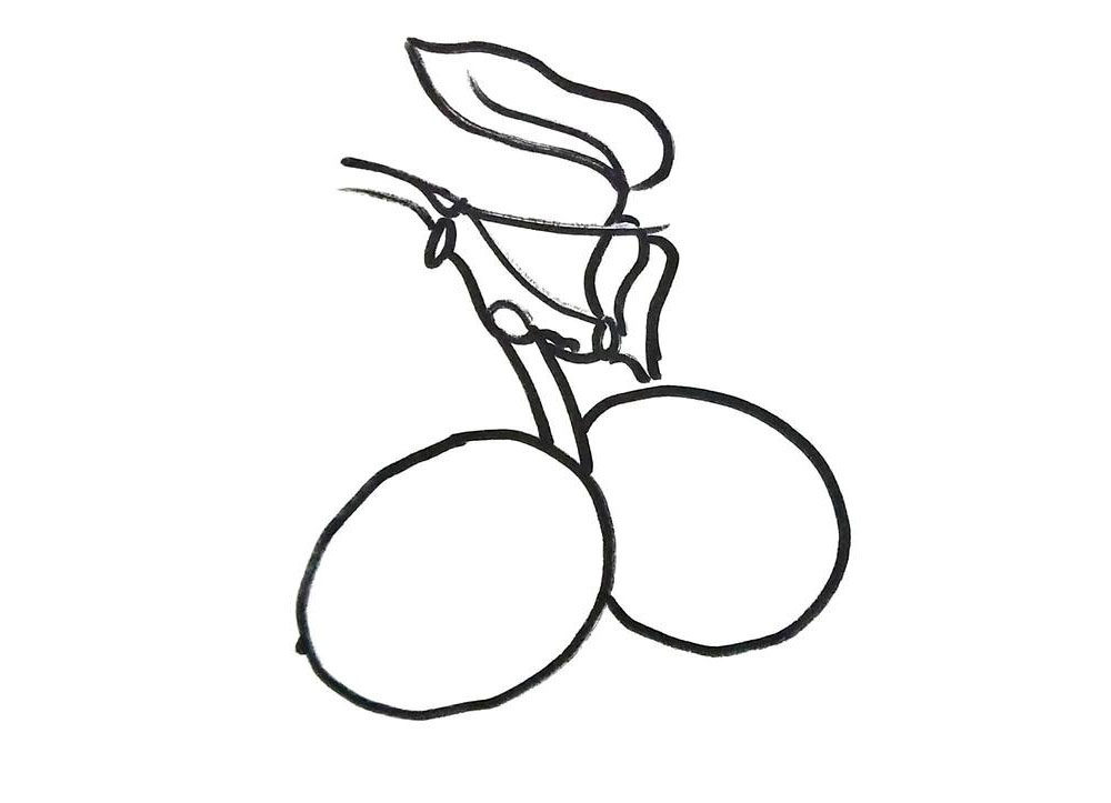 核桃果实的简笔画