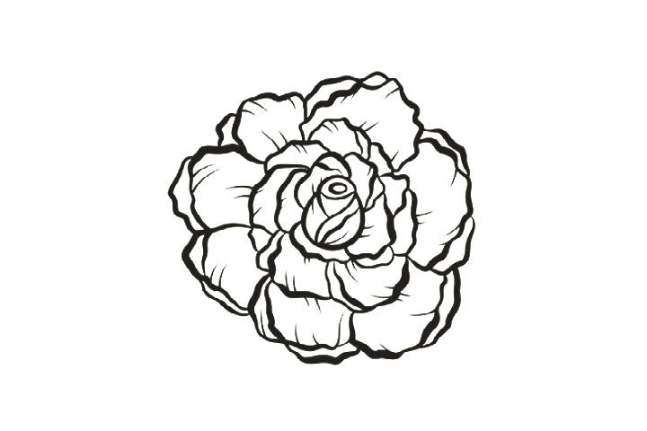8种玫瑰花的画法