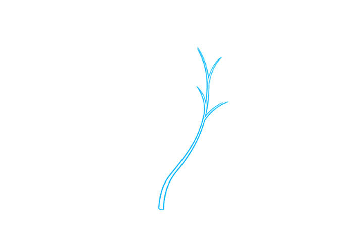 如何画勿忘我花