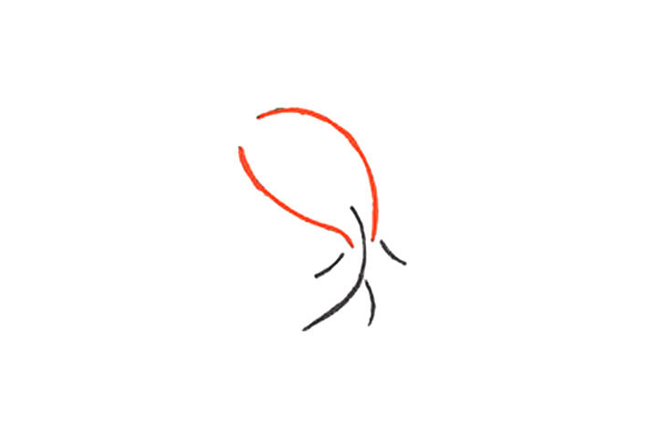 红红火火画锦鲤 红火锦鲤升级款1