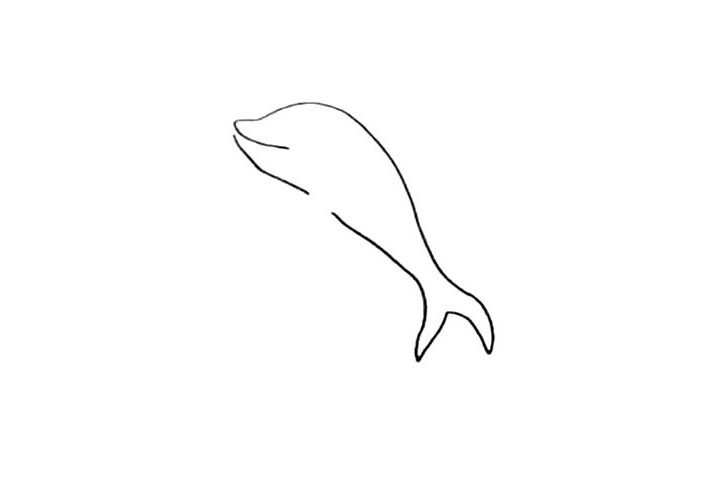 海豚简笔画怎么画