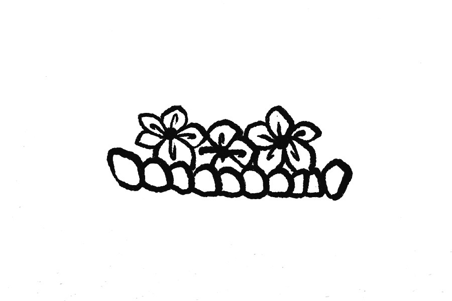 一篮小花简笔画画法步骤