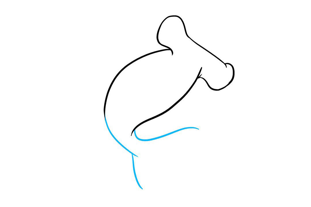 锤头鲨怎么画