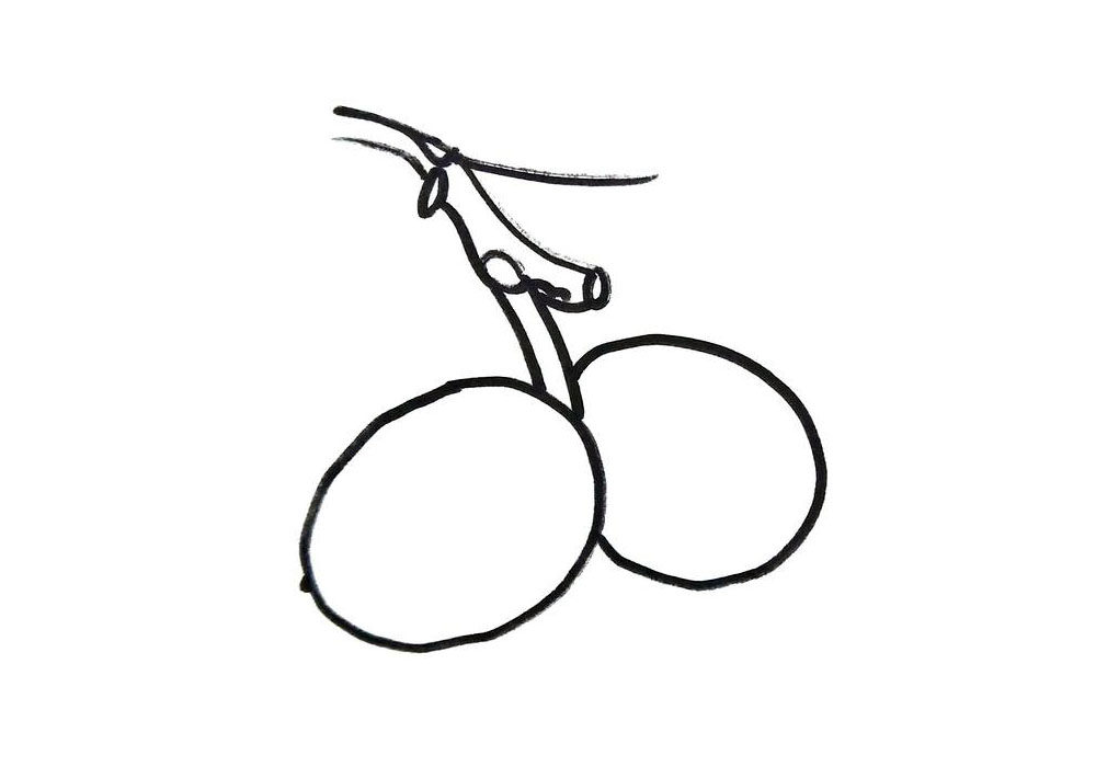 核桃果实的简笔画