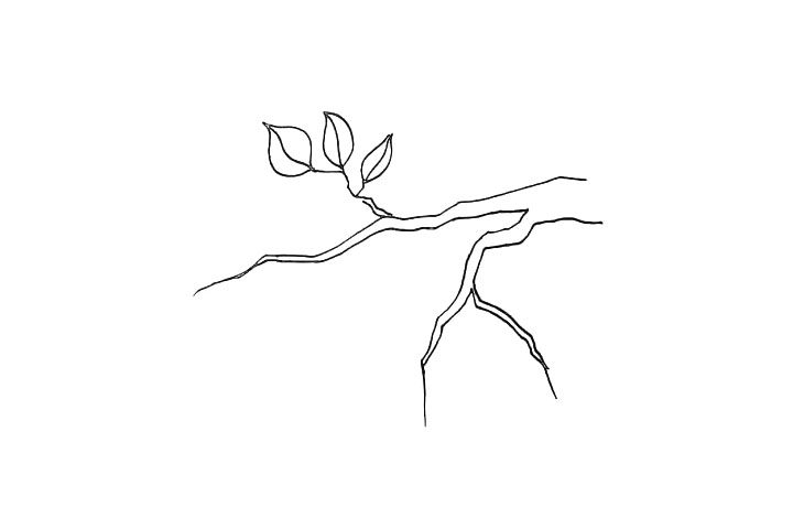 桃树简笔画画法步骤