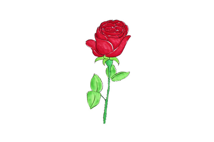 一组漂亮的花朵简笔画图片大全