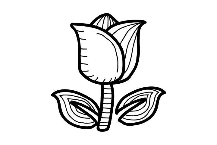 各种漂亮的花朵简笔画