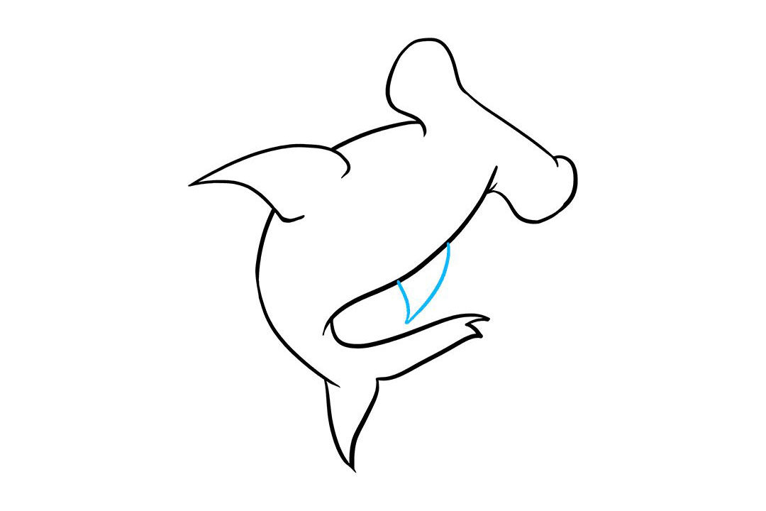 锤头鲨怎么画