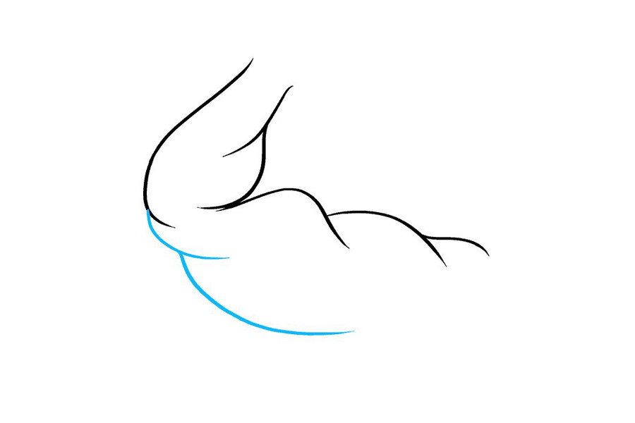 如何画二头肌