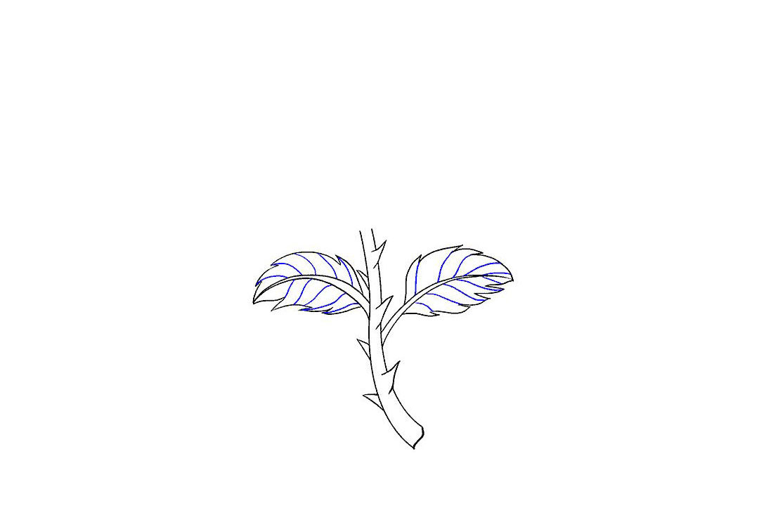 如何画一朵漂亮的玫瑰花