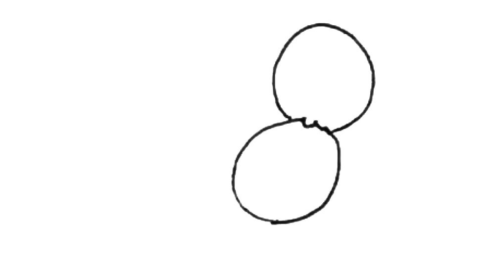 粉饼简笔画画法步骤
