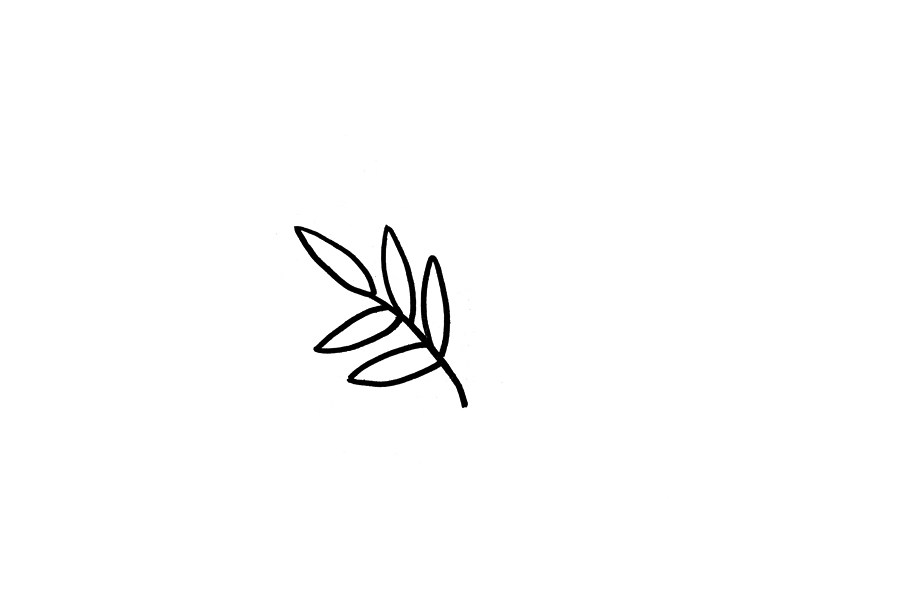 含羞草怎么画
