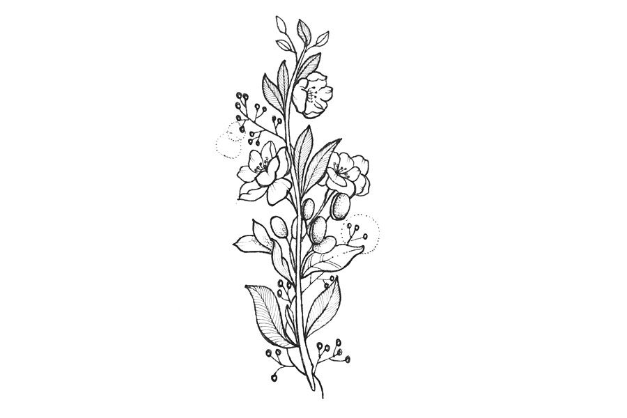 一组漂亮的线描花束简笔画图片