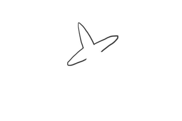 海洋生物海星简笔画画法步骤