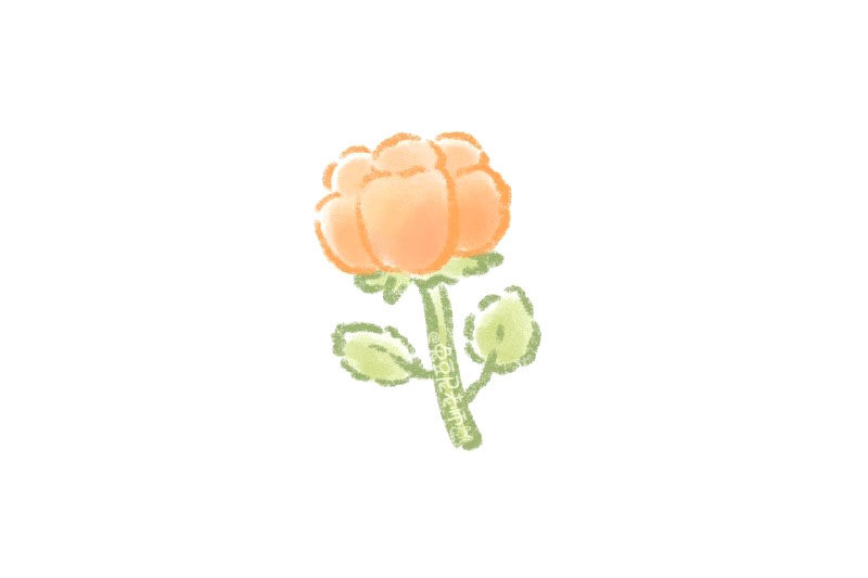 一朵漂亮的小花花怎么画