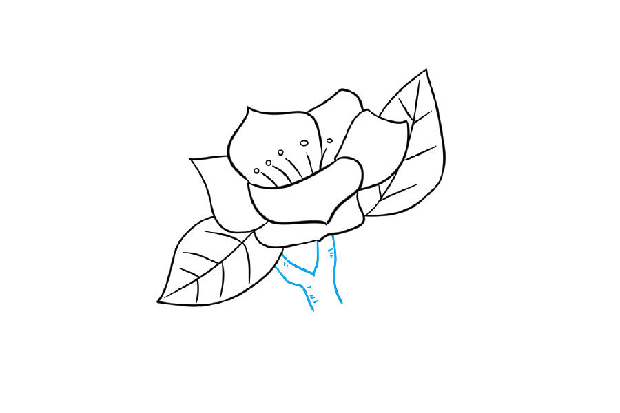 如何画树枝上漂亮的花朵