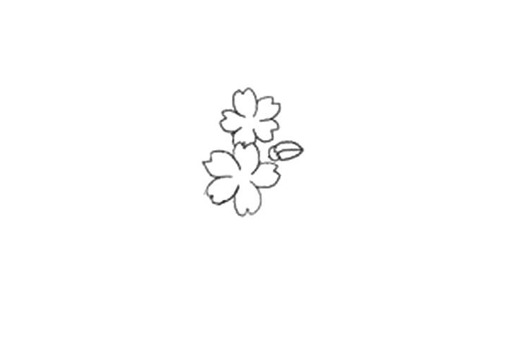 樱花的详细画法图解