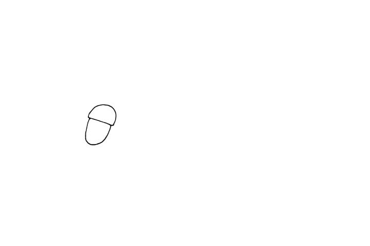 橡木果简笔画画法步骤