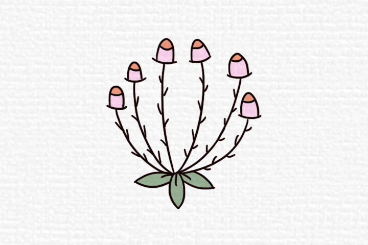 阳春三月漂亮的花朵简笔画图片