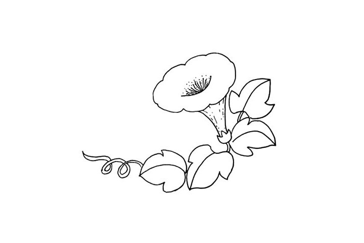 喇叭花简笔画教程