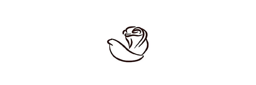 玫瑰花简笔画画法步骤