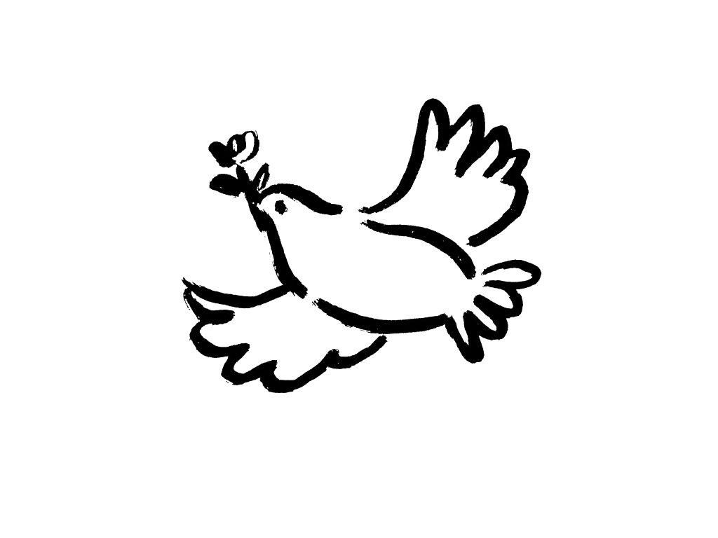 鸽子简笔画图片