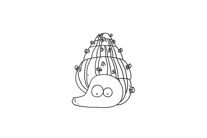 小海螺简笔画画法步骤