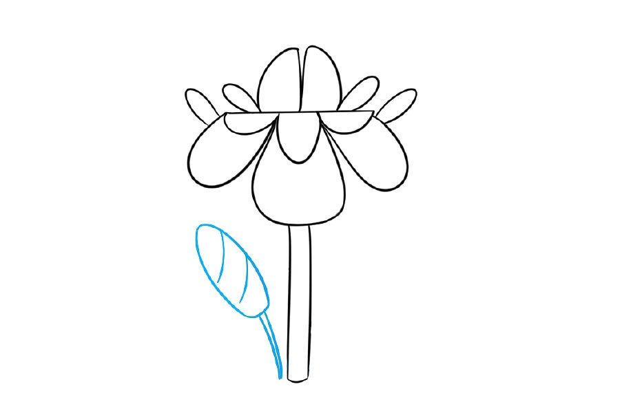 漂亮的小花简笔画画法步骤