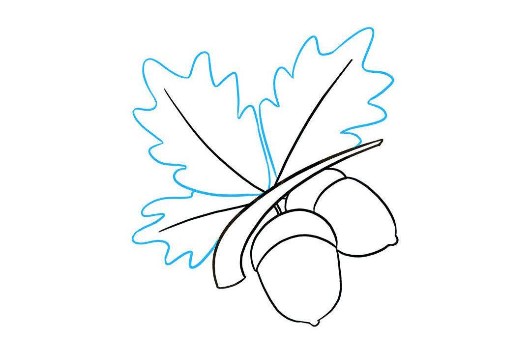 如何画橡子简笔画