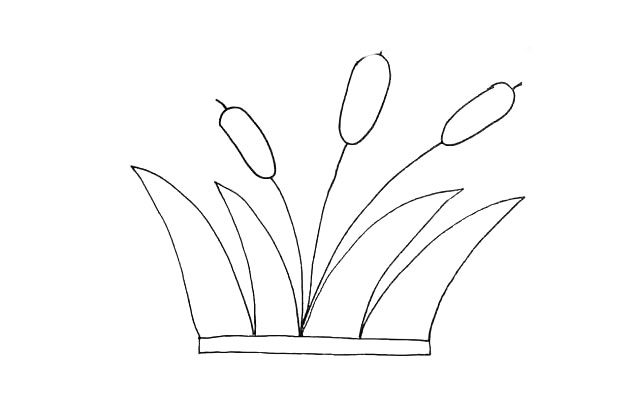 芦苇简笔画教程