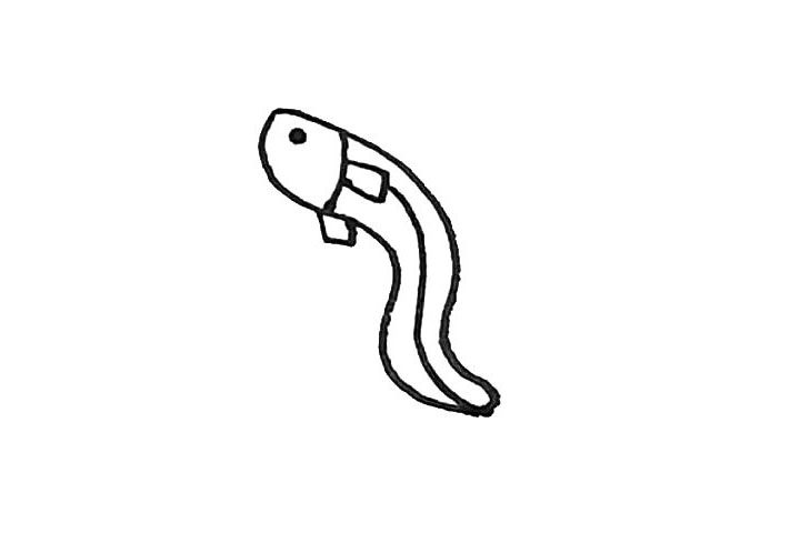 鳗鱼简笔画画法步骤