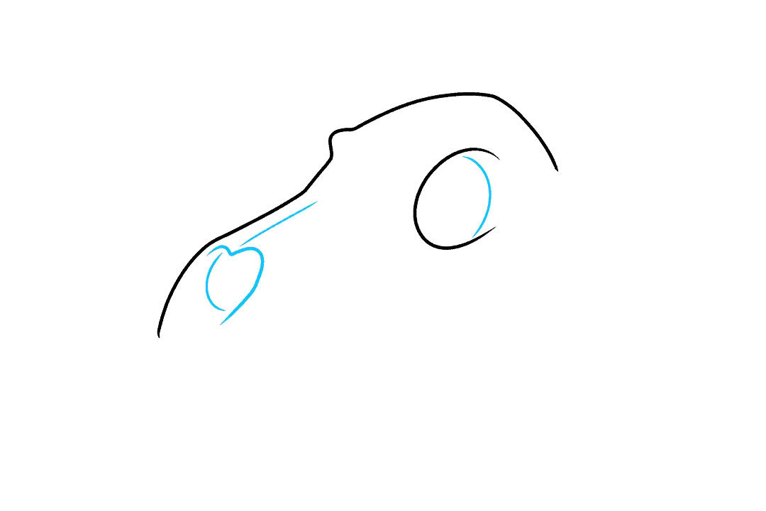 狼的头骨简笔画步骤