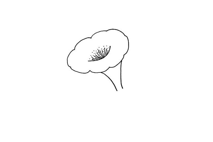 喇叭花简笔画教程
