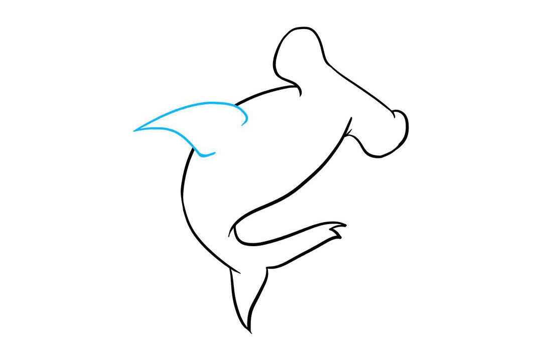 锤头鲨怎么画