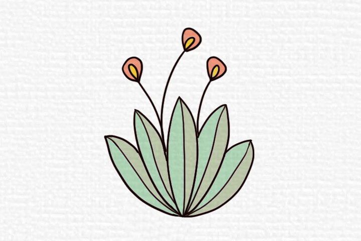 阳春三月漂亮的花朵简笔画图片