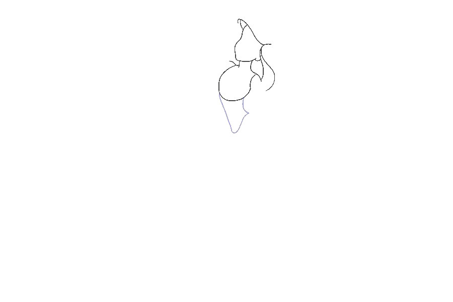 如何画美人鱼
