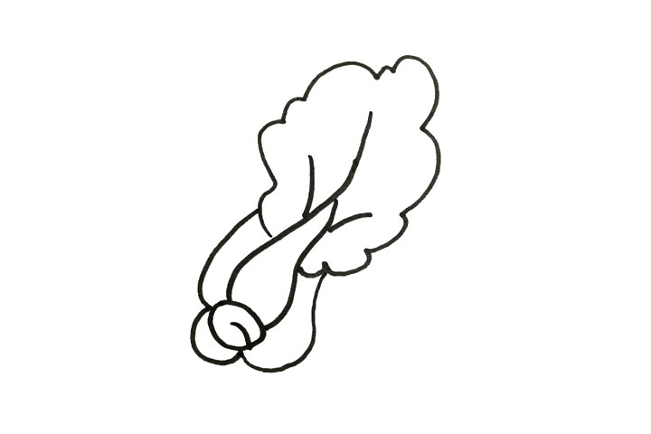 怎么画青菜
