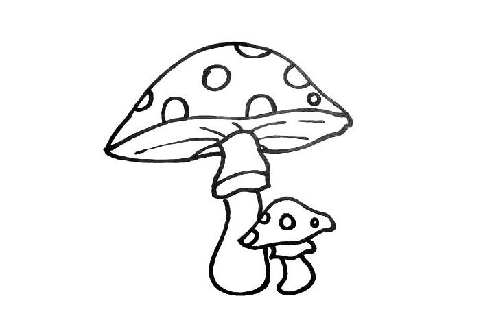 漂亮的蘑菇简笔画画法步骤