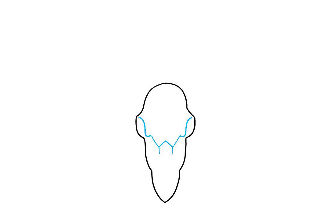鹿的头骨怎么画