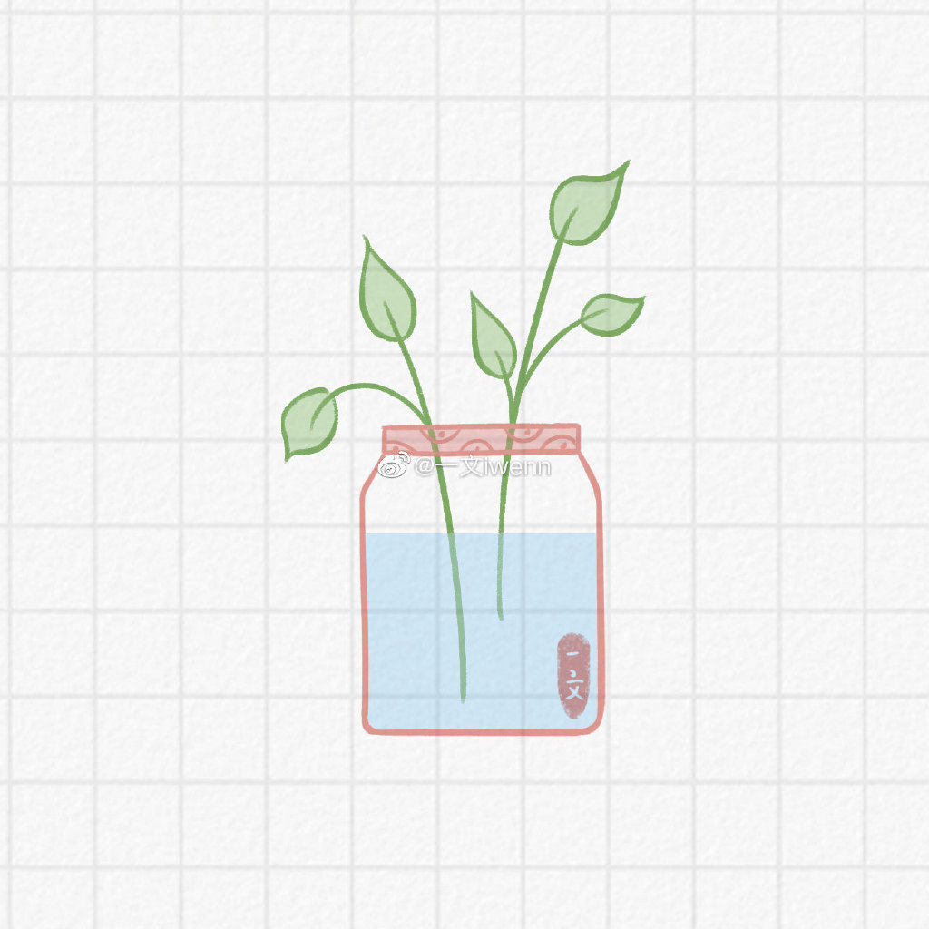 小清新的水培植物简笔画图片