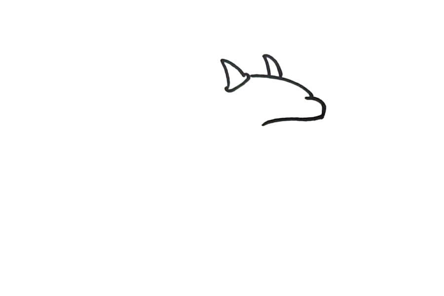 火龙草简笔画怎么画