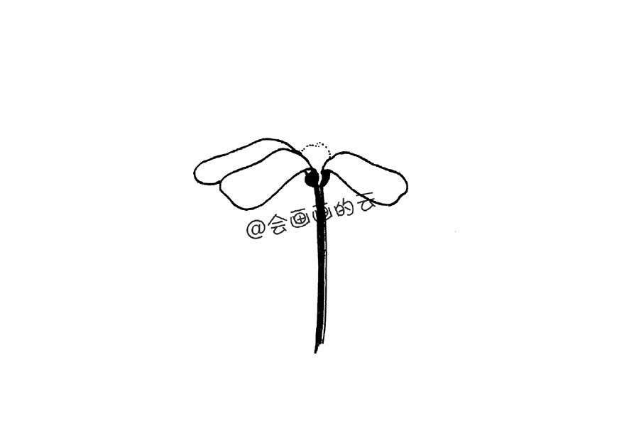零基础简笔画 一朵漂亮的小花花