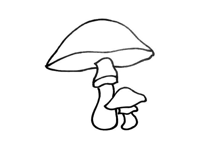 漂亮的蘑菇简笔画画法步骤