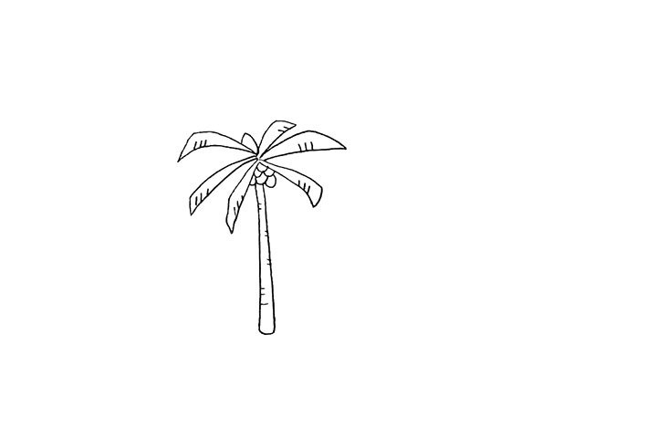 椰岛简笔画画法步骤