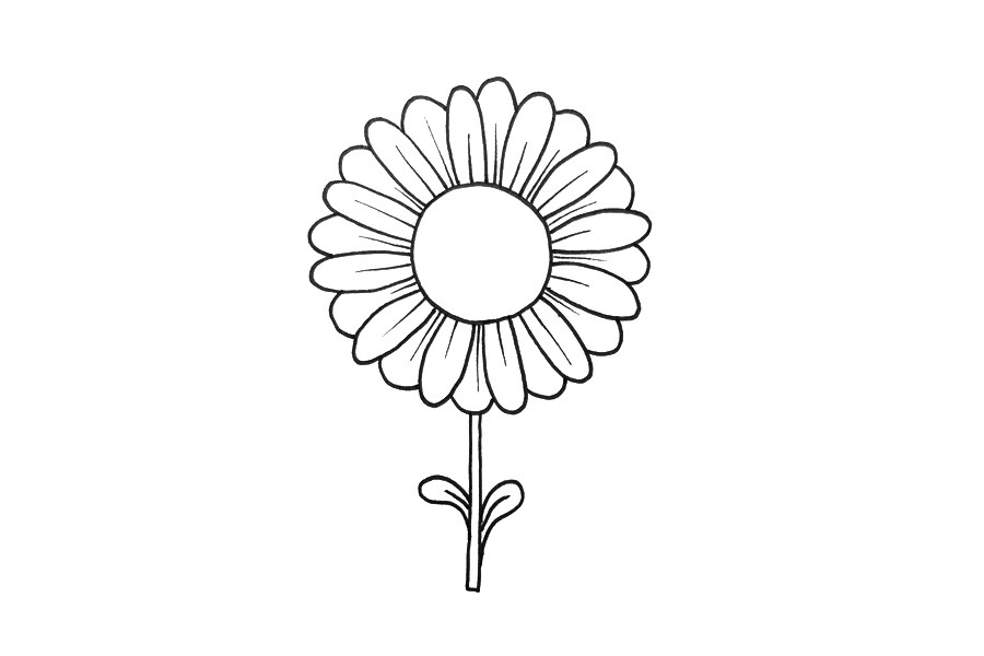 雏菊怎么画