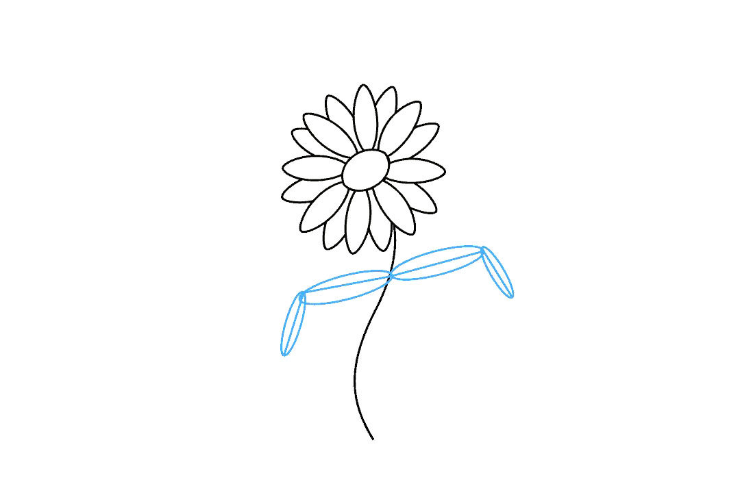 如何画雏菊花简笔画步骤
