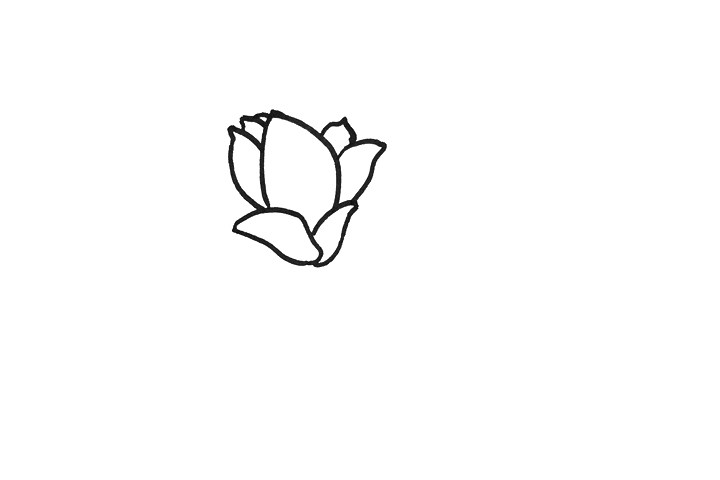 玉兰花怎么画