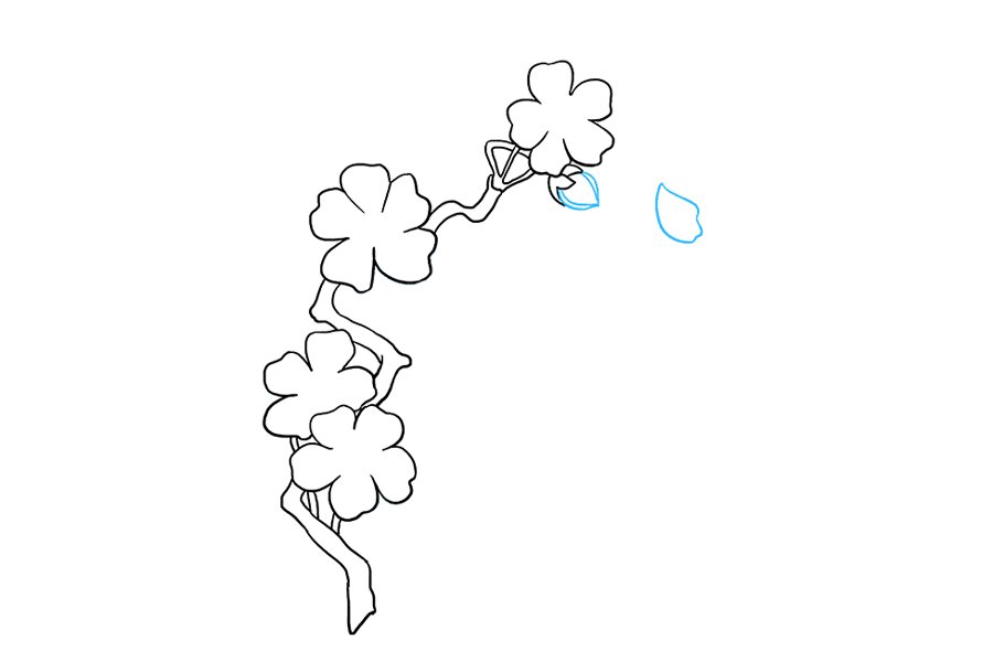 如何画樱花